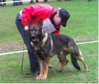Yvonne und Milan auf der Schau in Dortmund.
