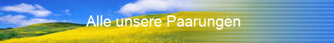 Alle unsere Paarungen                      