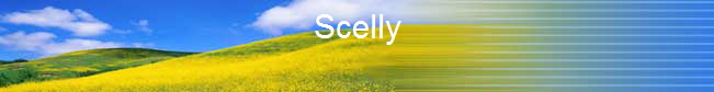 Scelly                                   
    