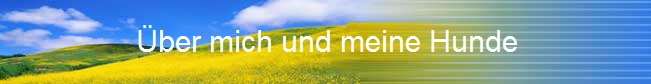ber mich und meine Hunde                