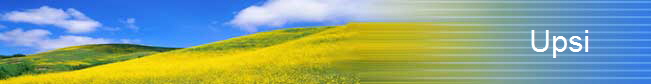 Upsi       
