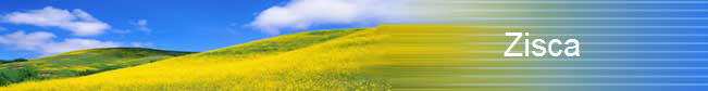 Zisca              