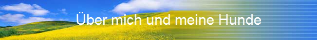                     ber mich und meine Hunde                                                    